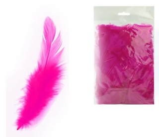 PEŘÍ BAREVNÉ 10G PURPUROVÉ LUMA