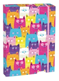 BOX NA SEŠITY A4 JUMBO KITTENS