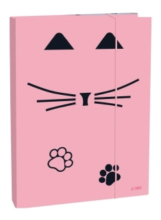 BOX NA SEŠITY A5 CAT LADY